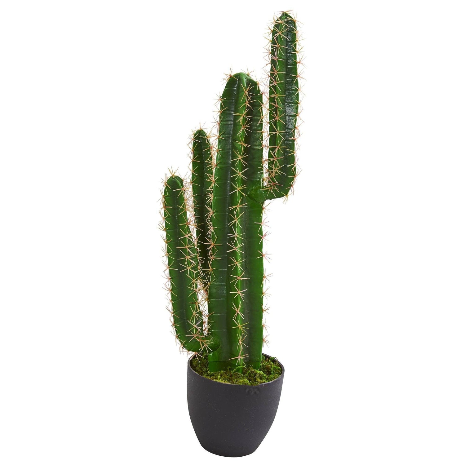 2.5’ Artificial Blue Myrtle Cactus Plant