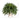 2.5’ Boston Fern Artificial Plant in White Planter with Legs