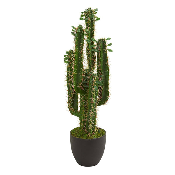 buy a san pedro cactus Nearly Natural 2.5 ft. Artificial Cactus Plant