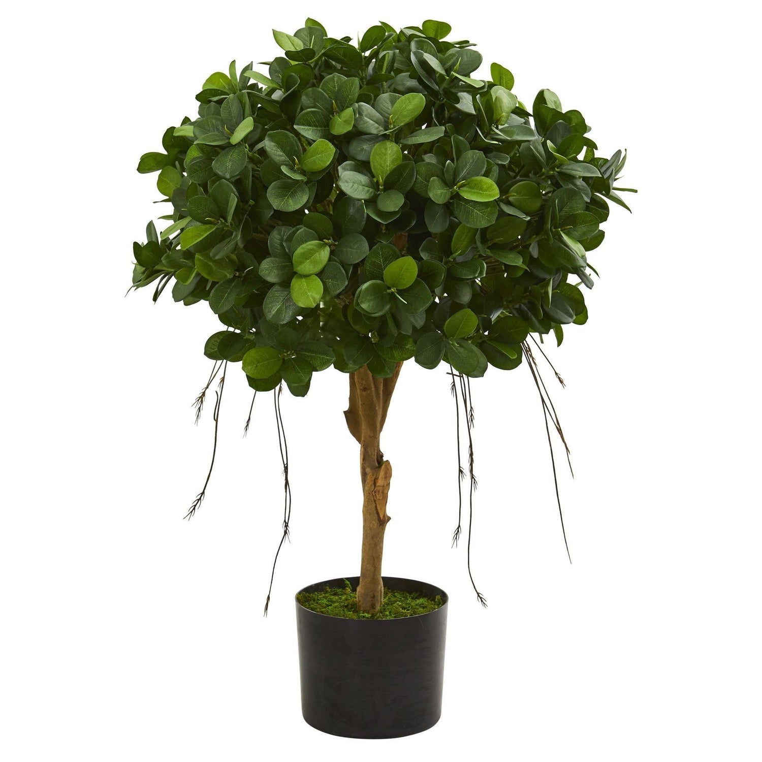 2.5’ Panda Ficus Artificial Tree