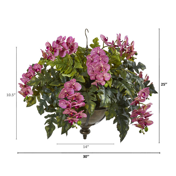25” Phalaenopsis Orchid and Holly Fern Plant in Hanging Bowl