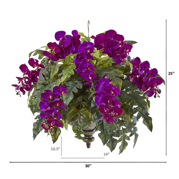 25” Phalaenopsis Orchid and Holly Fern Plant in Hanging Bowl