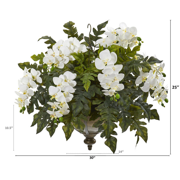 25” Phalaenopsis Orchid and Holly Fern Plant in Hanging Bowl
