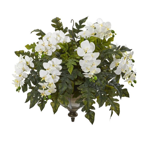 25” Phalaenopsis Orchid and Holly Fern Plant in Hanging Bowl