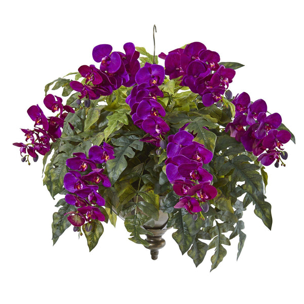 25” Phalaenopsis Orchid and Holly Fern Plant in Hanging Bowl