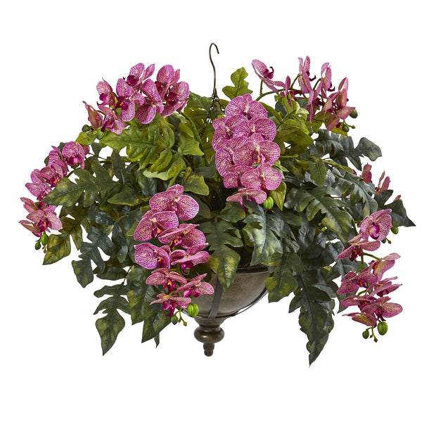 25” Phalaenopsis Orchid and Holly Fern Plant in Hanging Bowl