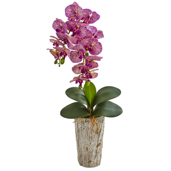 25” Phalaenopsis Orchid Artificial Arrangement in Weathered Oak Vase