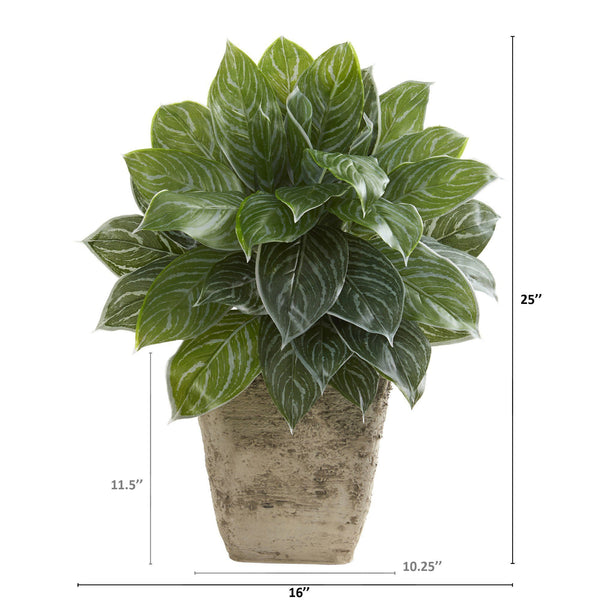 25” Silver Aglaonema Artificial Plant in Country White Planter (Real Touch)
