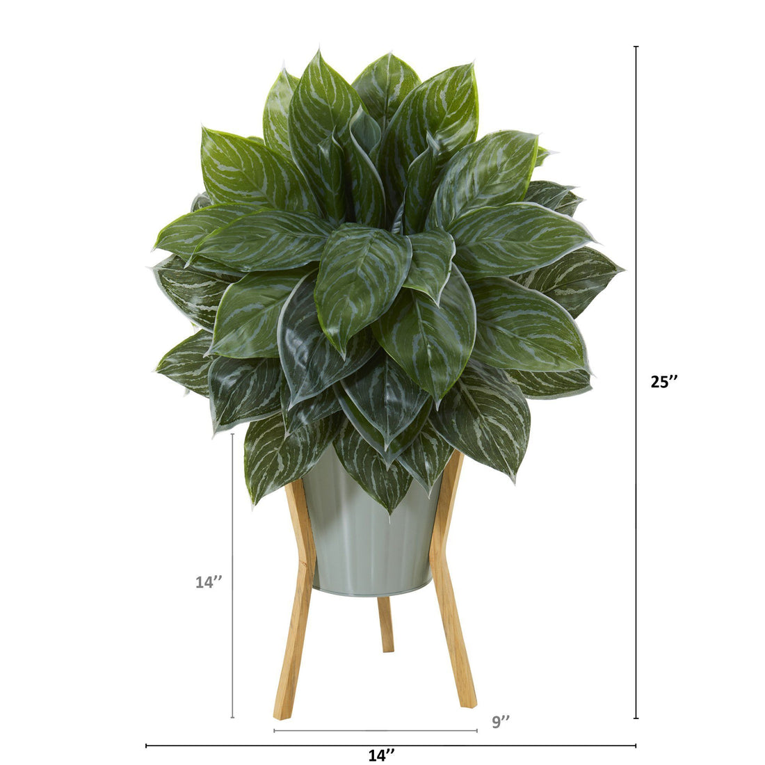 25 Silver Aglaonema Artificial Plant in Green Planter with Stand (Real  Touch)