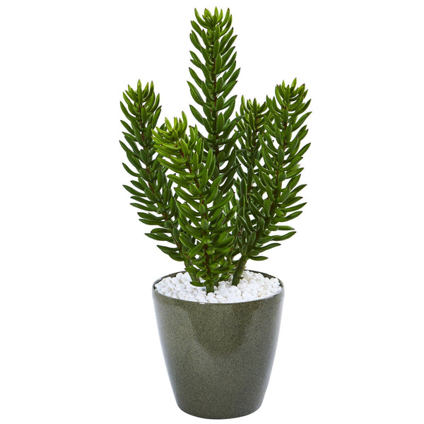 25” Succulent Artificial Plant in Green Planter