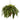26" Artificial Giant Boston Fern with Cone Hanging Basket"