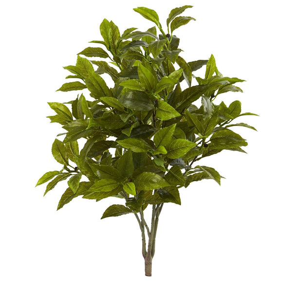26” Coffee Leaf Artificial Plant (Set of 2) (Real Touch)