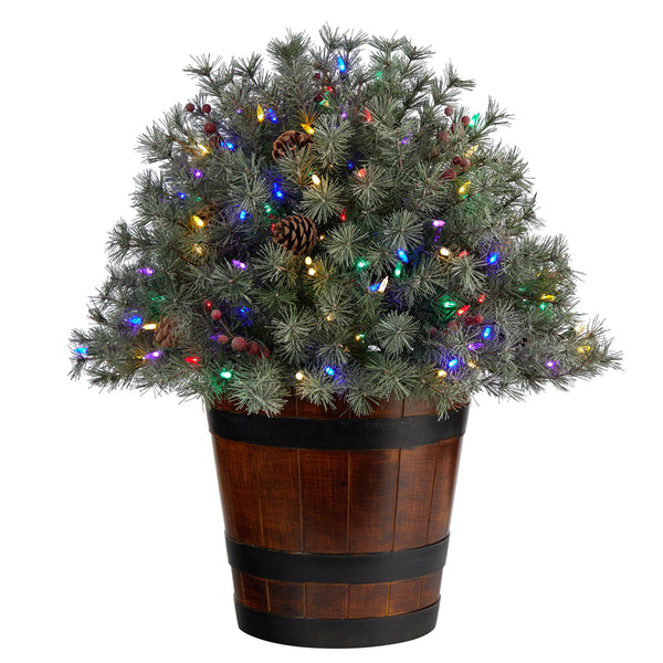 26” Flocked Shrub with Pinecones, 150 Multicolored LED Lights and 280 Branches in Planter