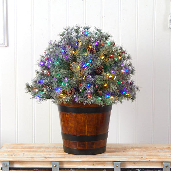 26” Flocked Shrub with Pinecones, 150 Multicolored LED Lights and 280 Branches in Planter