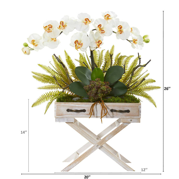 26” Orchid, Fern and Succulent Arrangement in Drawer Planter