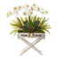 26” Orchid, Fern and Succulent Arrangement in Drawer Planter