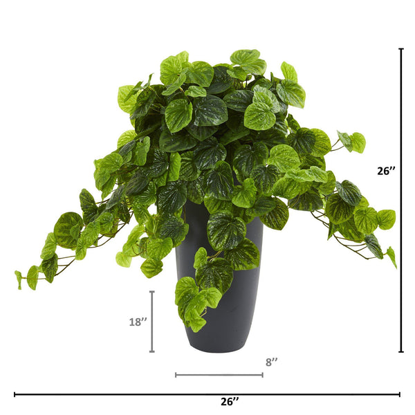 26” Peperomia Artificial Plant in Decorative Planter (Real Touch)