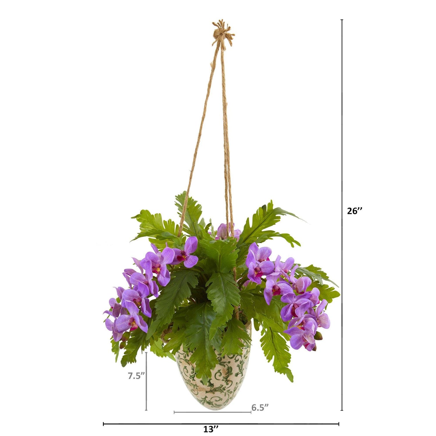 26” Phalaenopsis Orchid and Fern Plant in Hanging Vase