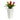 26” Triple Bromeliad Plant in White Tower Planter