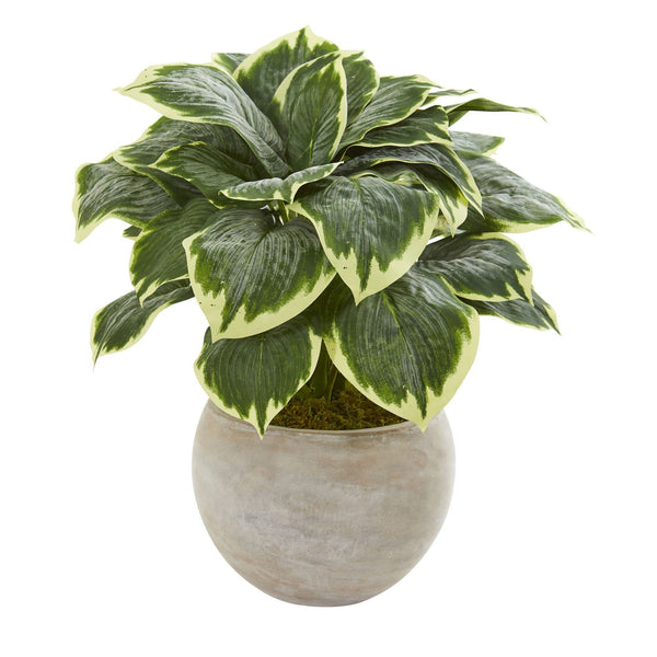 26” Variegated Hosta Artificial Plant in Sand Colored Bowl