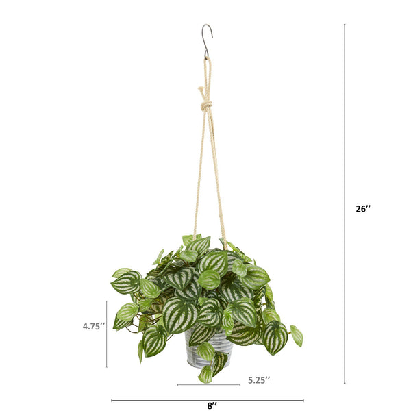 26” Watermelon Peperomia and Fern Artificial Plant in Hanging Bucket (Set of 2)