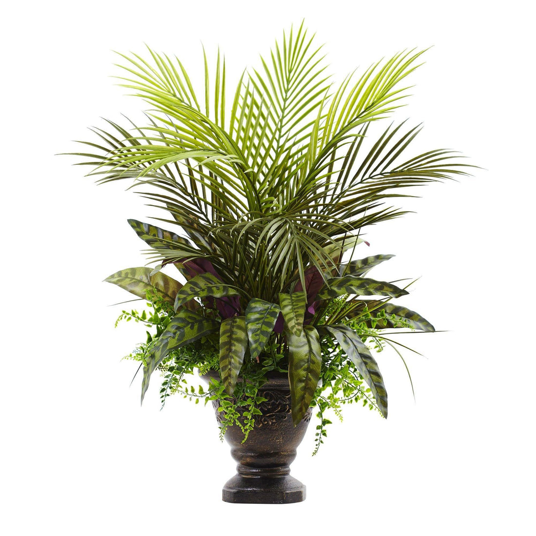 areca palm new growth 27” Mixed Areca Palm, Fern & Peacock w/Planter