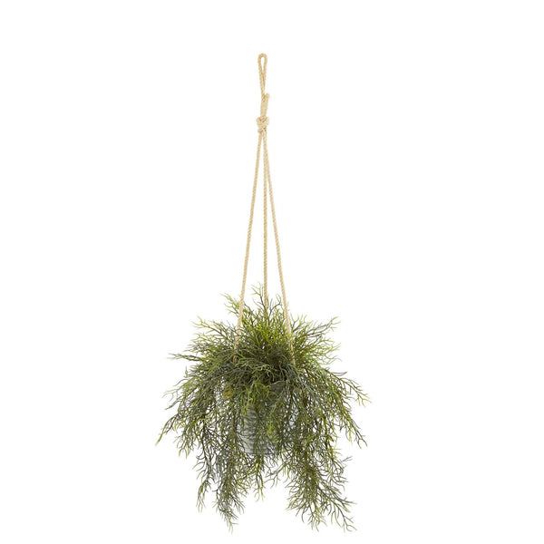 27” Tillandsia Moss and Staghorn Artificial Plant in Hanging Bucket (Set of 2)