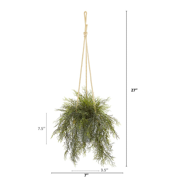 27” Tillandsia Moss and Staghorn Artificial Plant in Hanging Bucket (Set of 2)