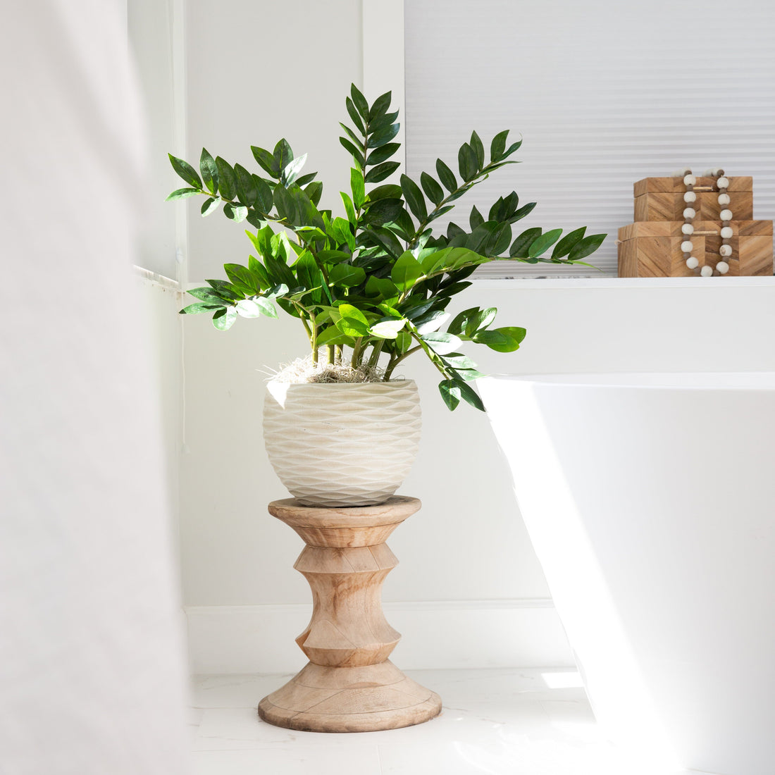 28 Artificial Zamioculcas Plant with Decorative Planter | Nearly Natural