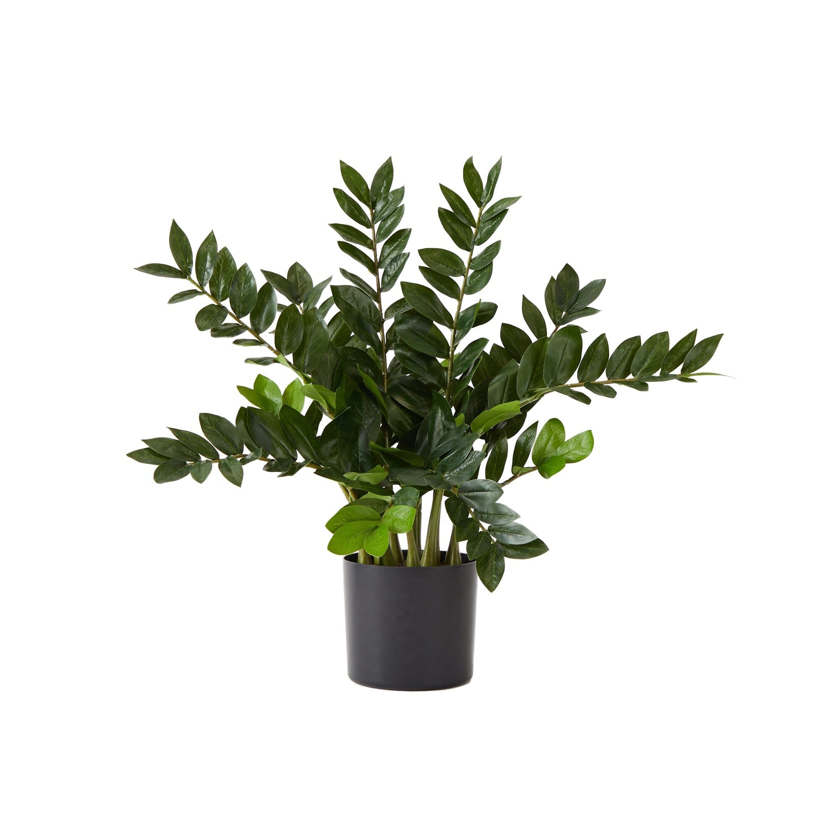 28” Artificial Zamioculcas Plant with Decorative Planter Nearly Natural