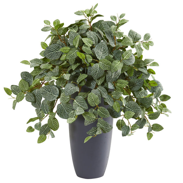 28” Fittonia Artificial Plant in Gray Planter (Real Touch)