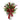 28” Holiday Winter Greenery, Berries and Plaid Bow Artificial Christmas Arrangement Home Décor