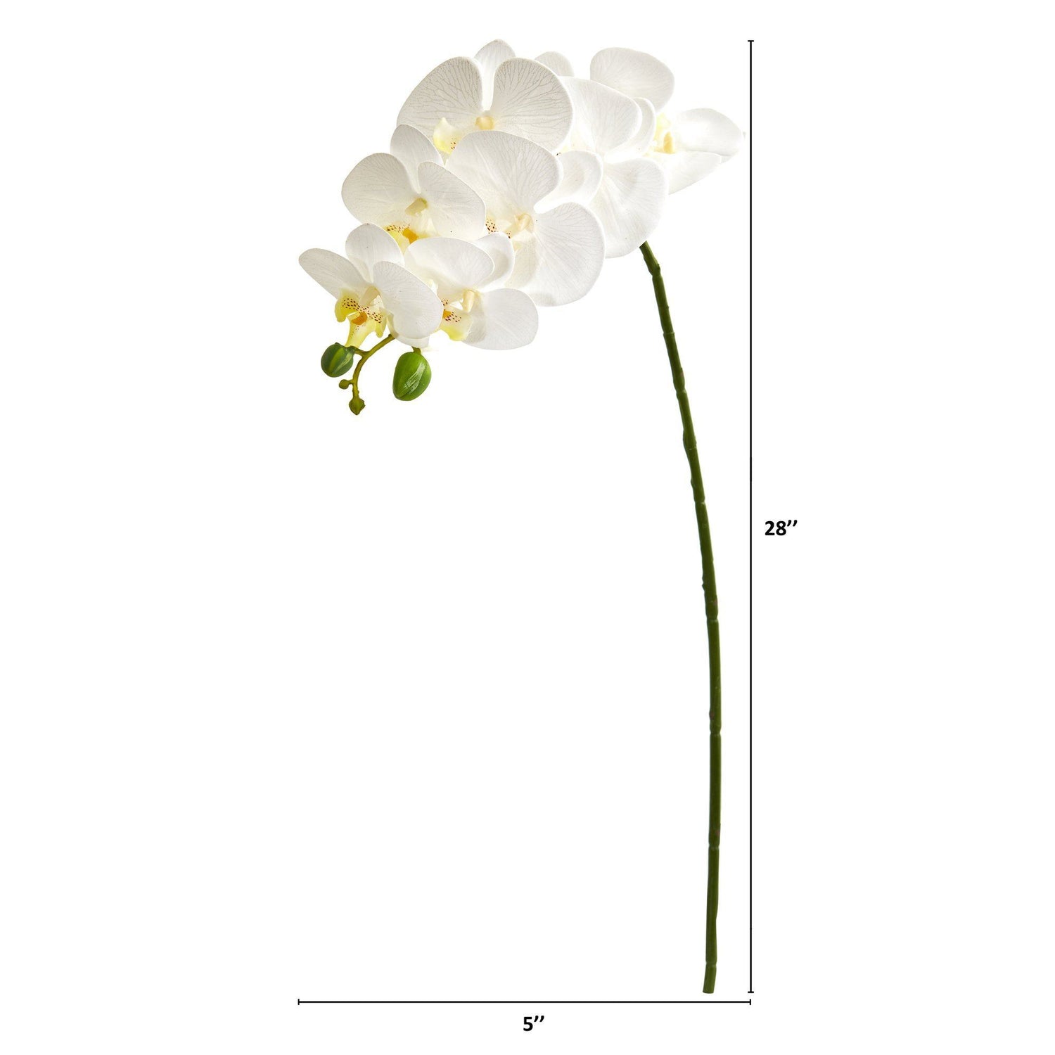 28” Orchid Phalaenopsis Artificial Flower Stem (Set of 6)