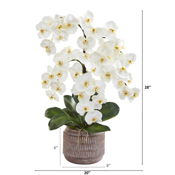 28” Phalaenopsis Orchid Artificial Arrangement in Stoneware Vase