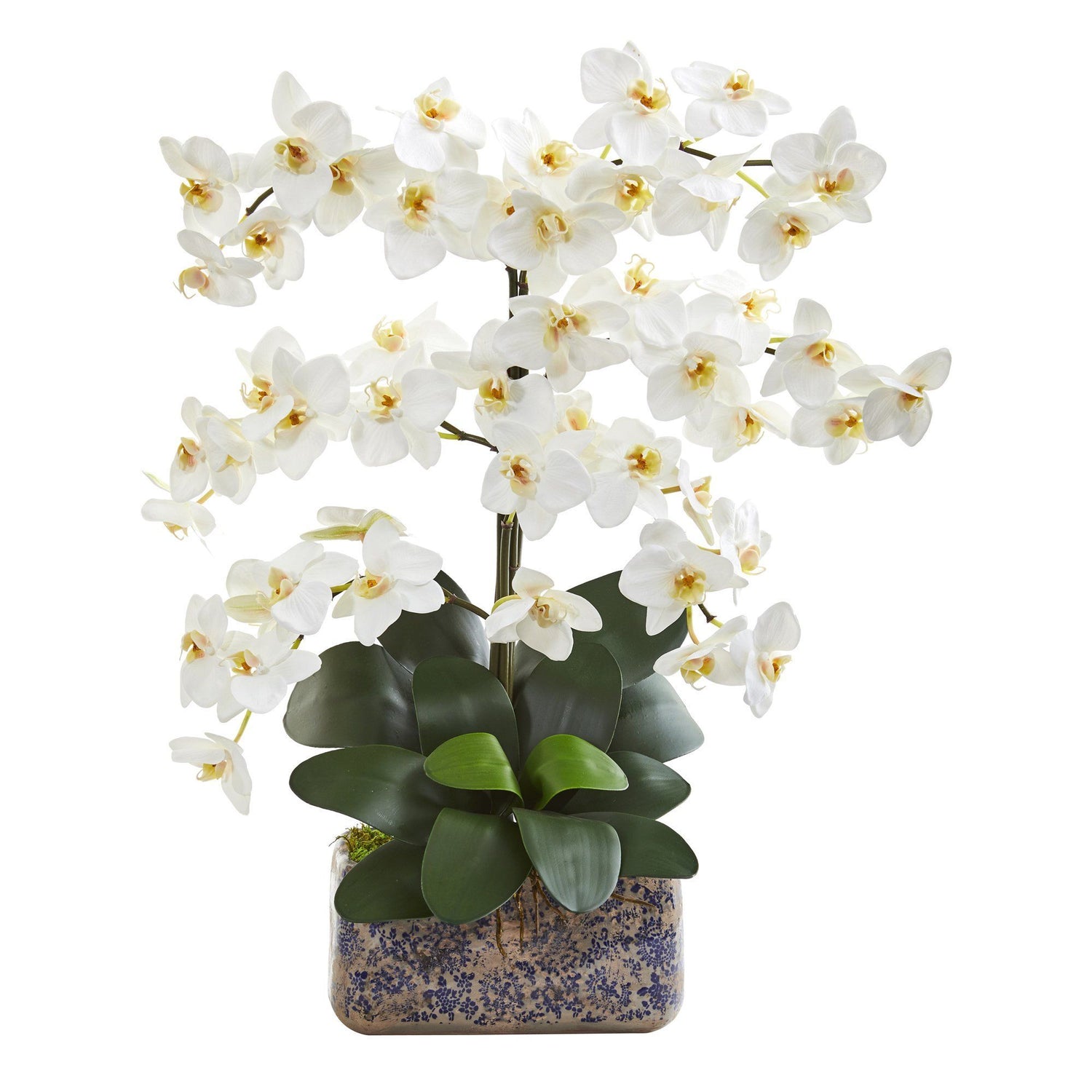 28” Phalaenopsis Orchid Artificial Arrangement in Vintage Vase