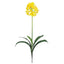 29" African Lily Stem (Set of 12)"