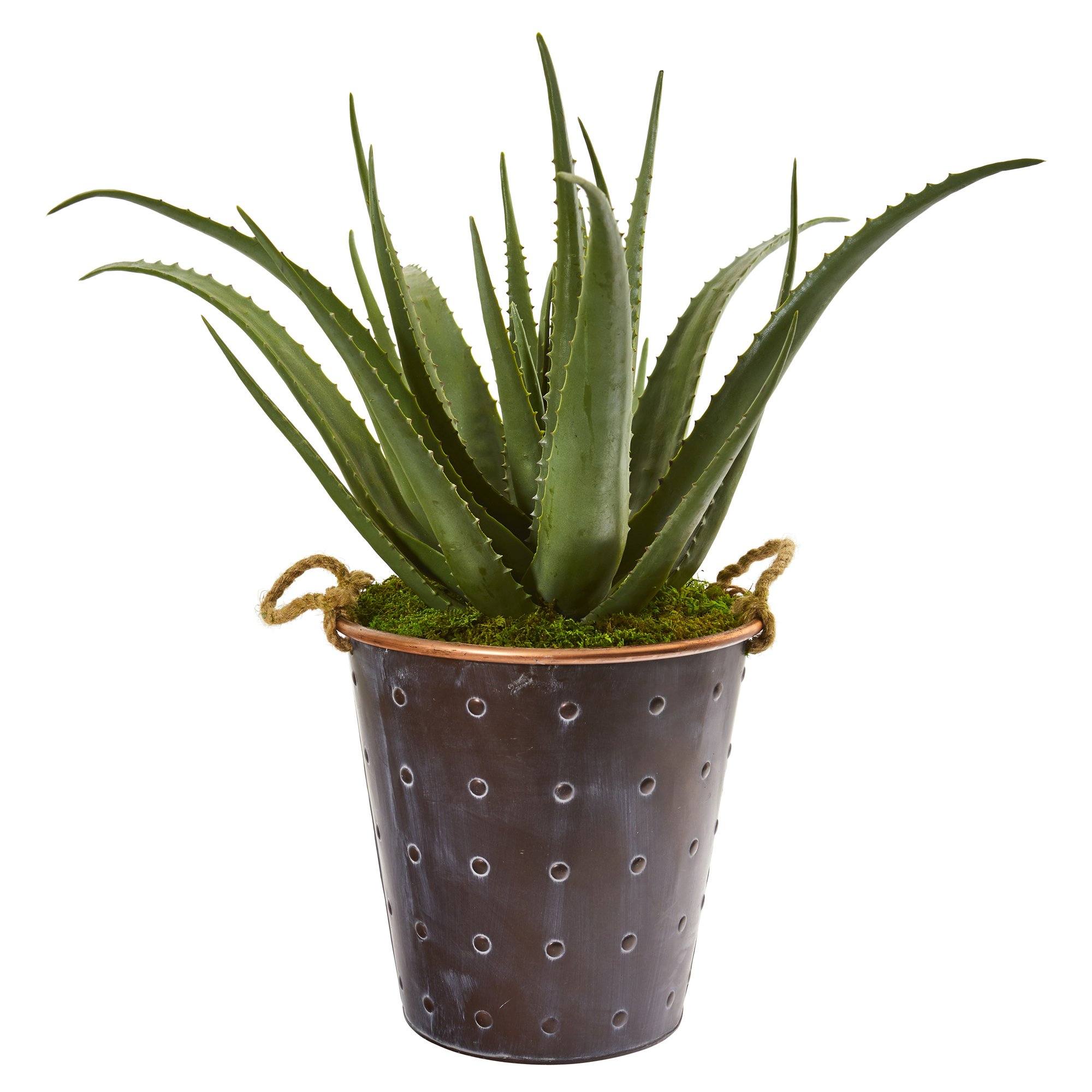 29” Aloe Artificial Plant in Decorative Pail with Rope | Nearly Natural