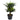 29” Double Agave Succulent Artificial Plant