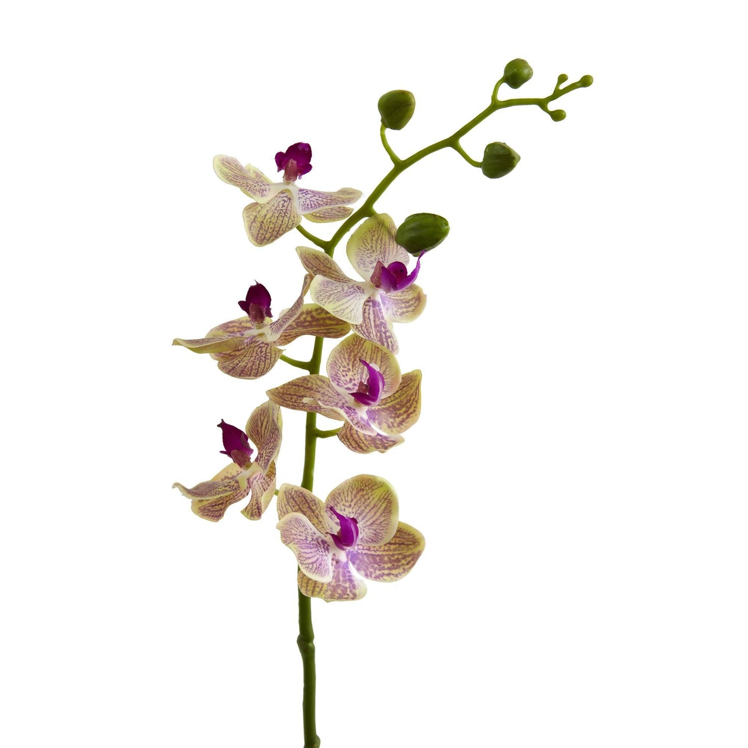 29” Phalaenopsis Orchid Artificial Flower (Set of 4)