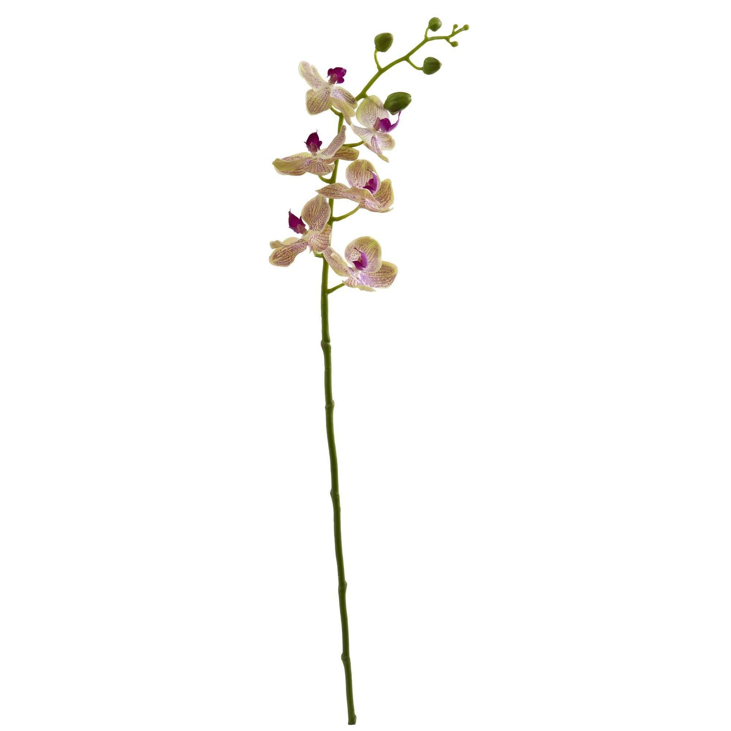 29” Phalaenopsis Orchid Artificial Flower (Set of 4)