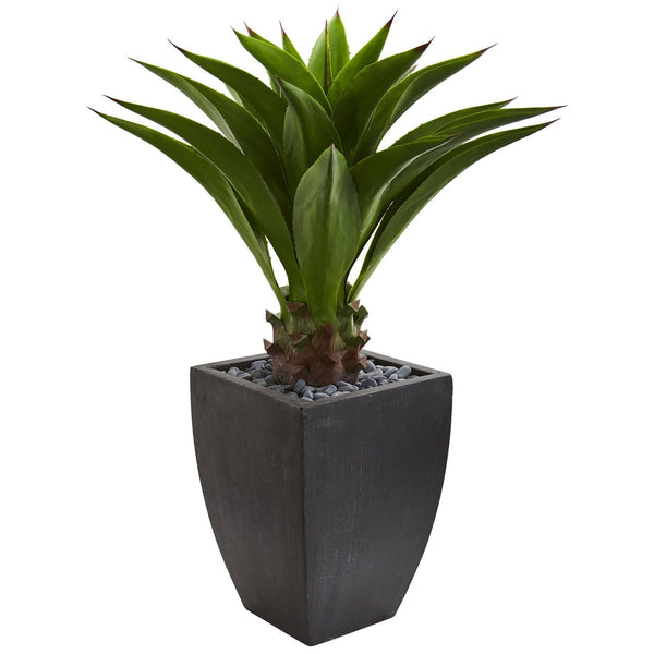 3' Agave Artificial Plant in Black Planter