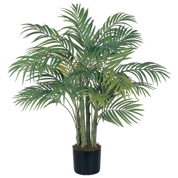 3' Areca Silk Palm Tree