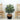 3' Artificial Areca Palm Tree with  Handmade Jute & Cotton Basket DIY KIT