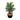 3' Artificial Areca Palm Tree with Handmade Jute & Cotton Basket DIY KIT