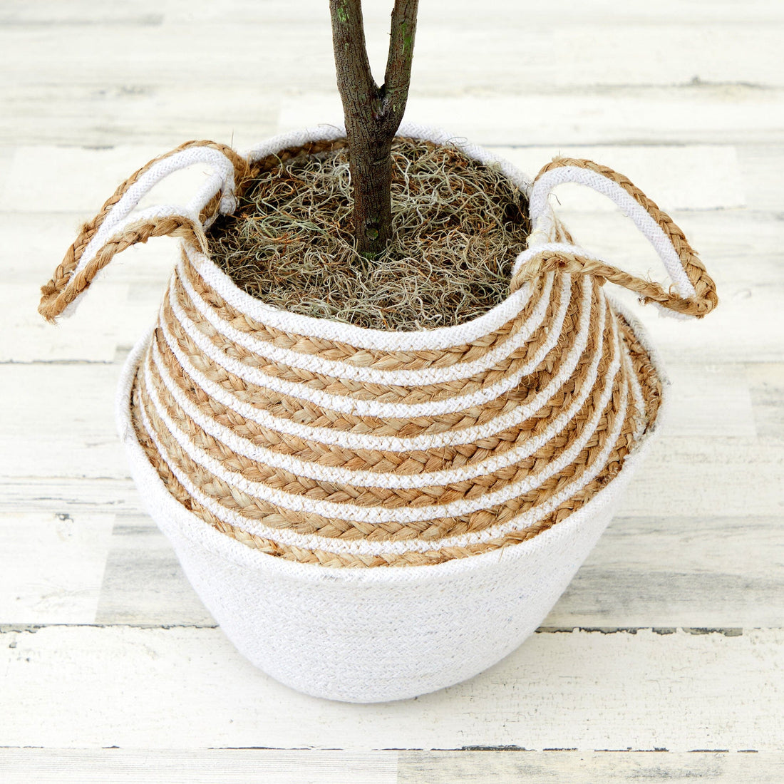 faux fiddle leaf fig tree in basket 3' Artificial Fiddle Leaf Fig Tree with Handmade Cotton & Jute Woven Basket  DIY Kit