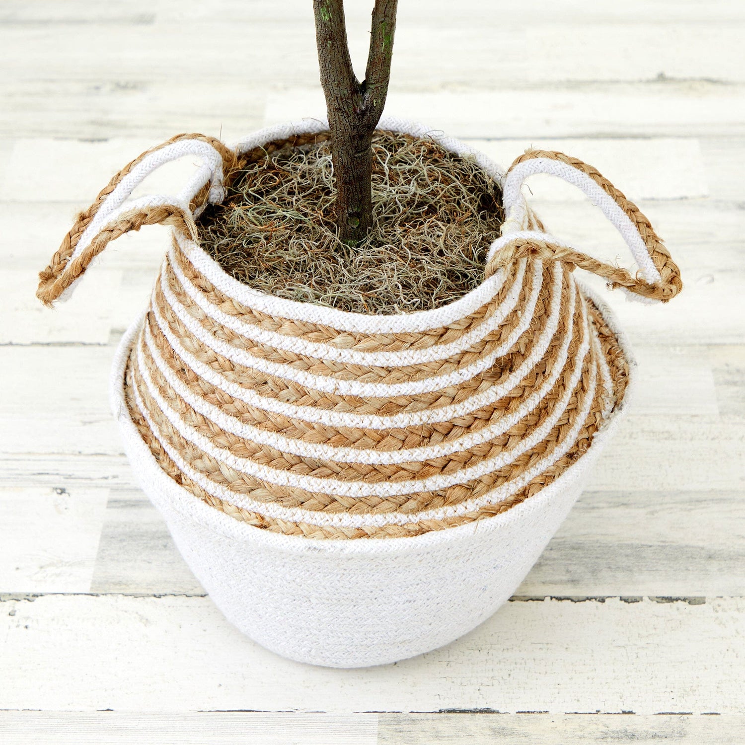 3' Artificial Fiddle Leaf Fig Tree with Handmade Cotton & Jute Woven Basket DIY Kit