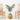 3' Artificial Golden Cane Palm Tree with Handmade Jute & Cotton Basket with Tassels DIY KIT