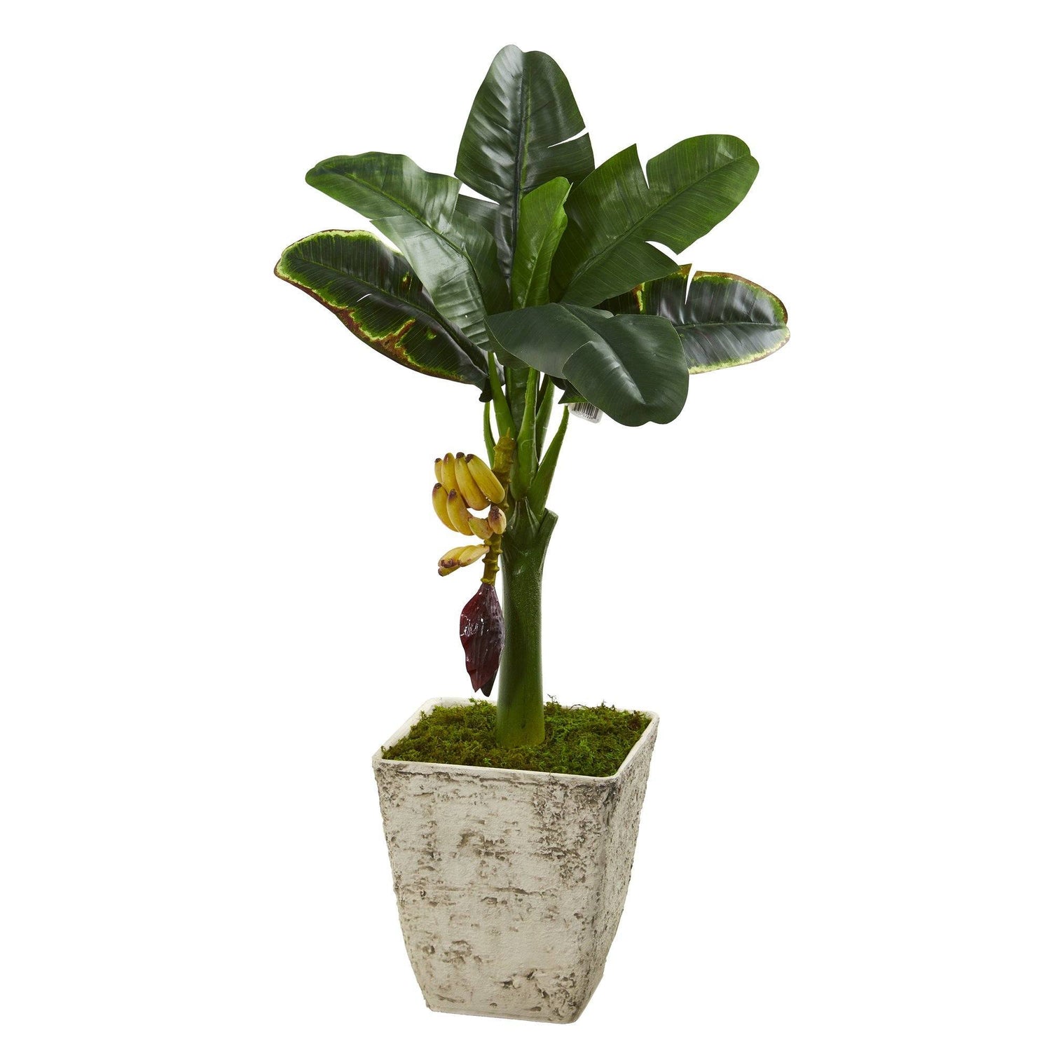 3’ Banana Artificial Tree in Country White Planter