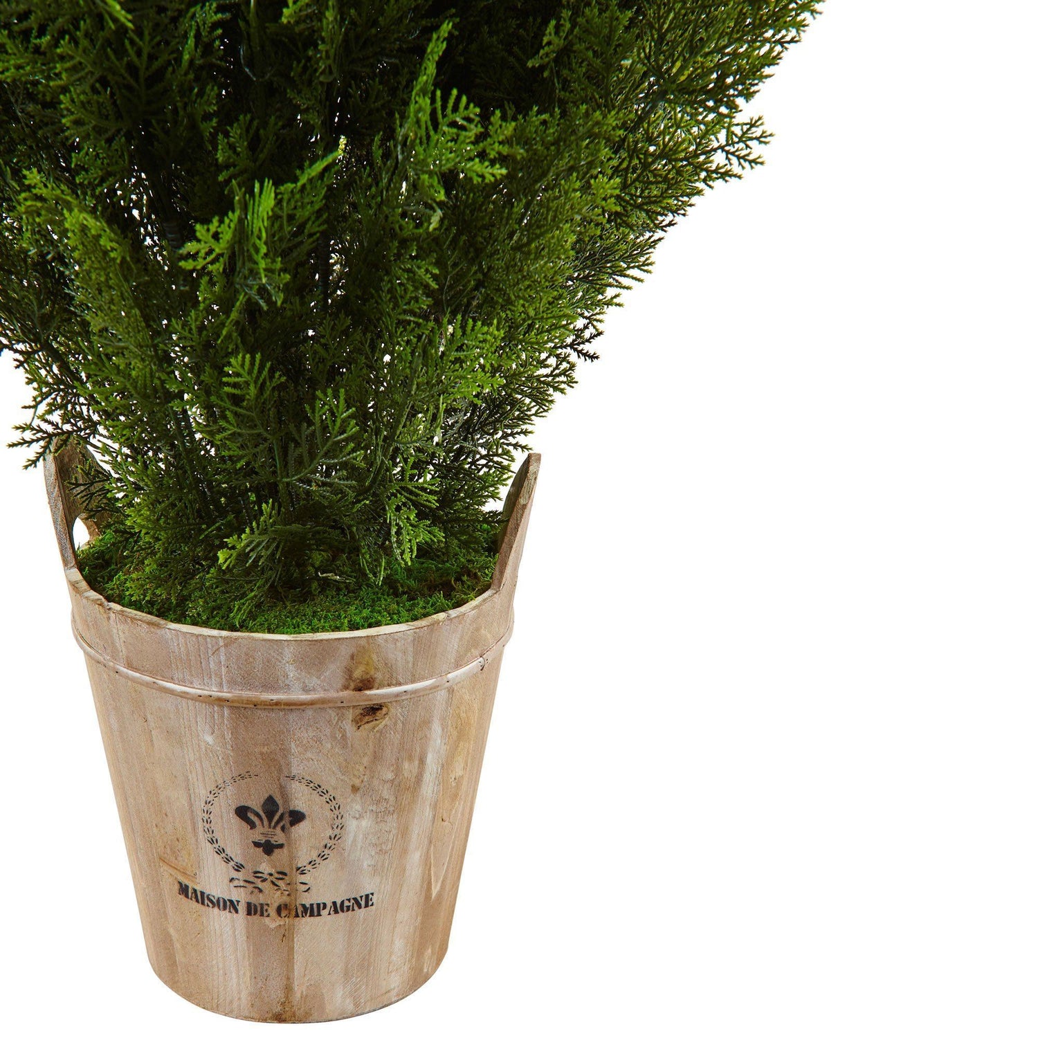 3’ Cedar in Barrel Planter (Indoor/Outdoor)
