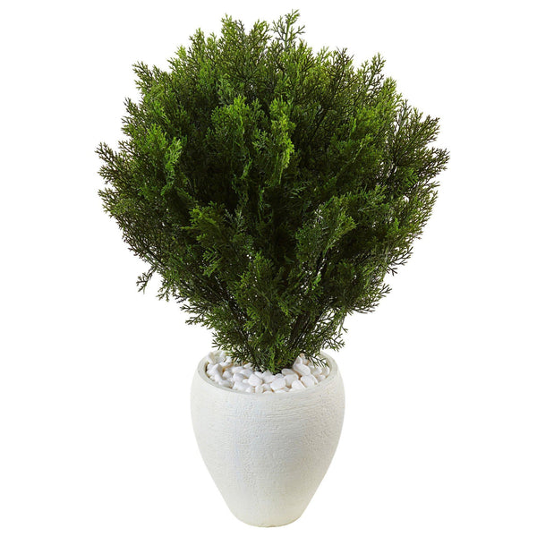 3’ Cedar in Oval Textured Planter (Indoor/Outdoor)